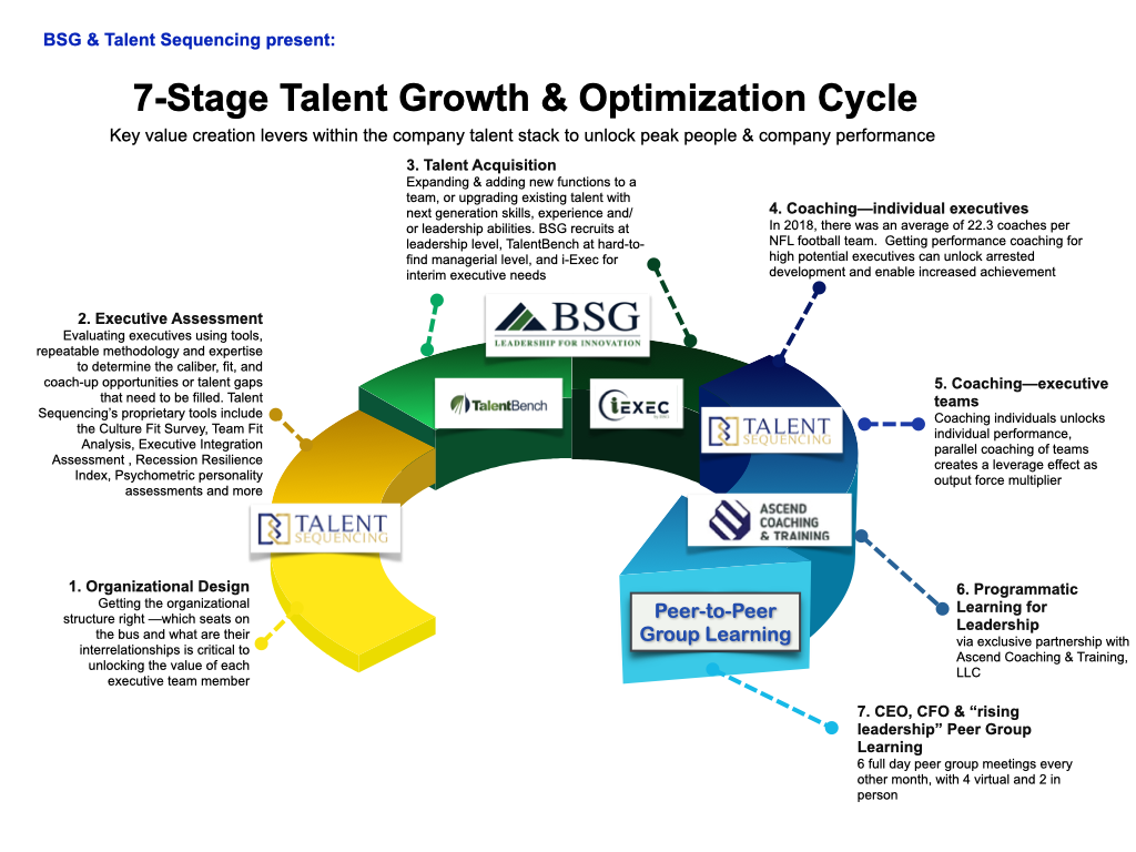 BSG talent optimization lifecycle graphic, final.001