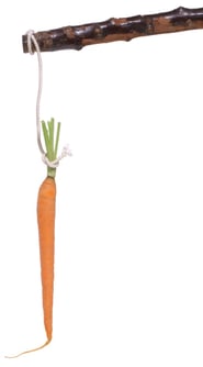 carrot-and-stickl