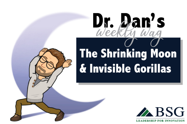 dr-dan-wag-picture-week4